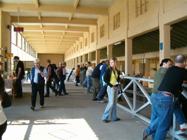 Brescia 2006-1 025